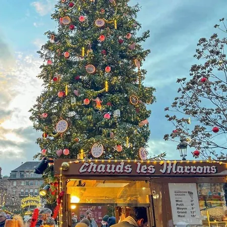 Daire & Hyper Centre De - Proche Cathedrale & Petite France Strazburg