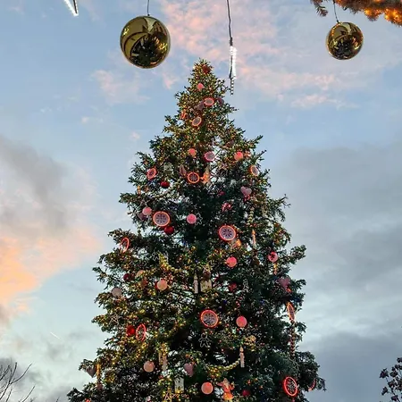 Apartament & Hyper Centre De - Proche Cathedrale & Petite France *