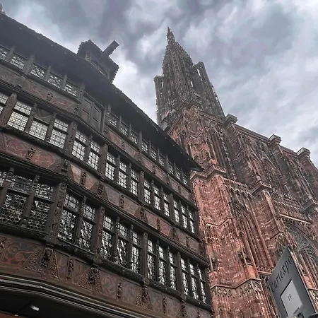Apartament & Hyper Centre De - Proche Cathedrale & Petite France Strasburg