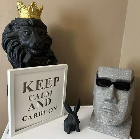 & Hyper Centre De - Proche Cathedrale & Petite France Daire Strazburg