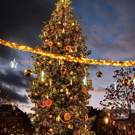 & Hyper Centre De - Proche Cathedrale & Petite France