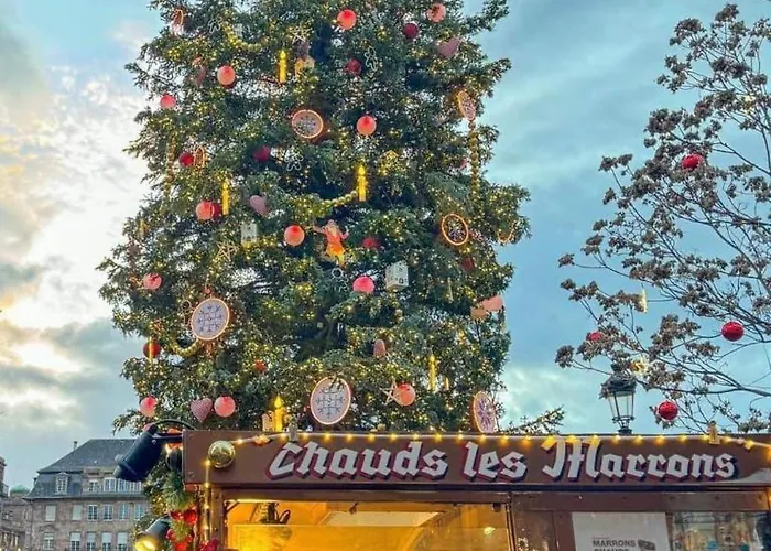 아파트 & Hyper Centre De - Proche Cathedrale & Petite France 스트라스부르