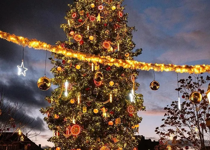 & Hyper Centre De - Proche Cathedrale & Petite France