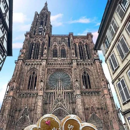 & Hyper Centre De - Proche Cathedrale & Petite France דירה